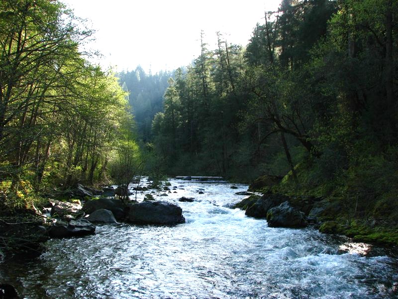 McCloud Nature Conservancy