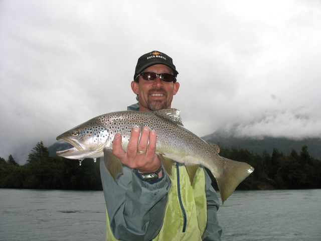 Chile Jack Trout Nice Brown