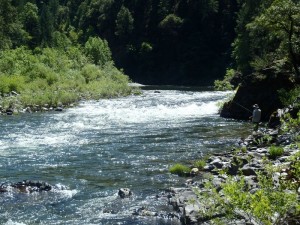 http://www.mtshasta.com