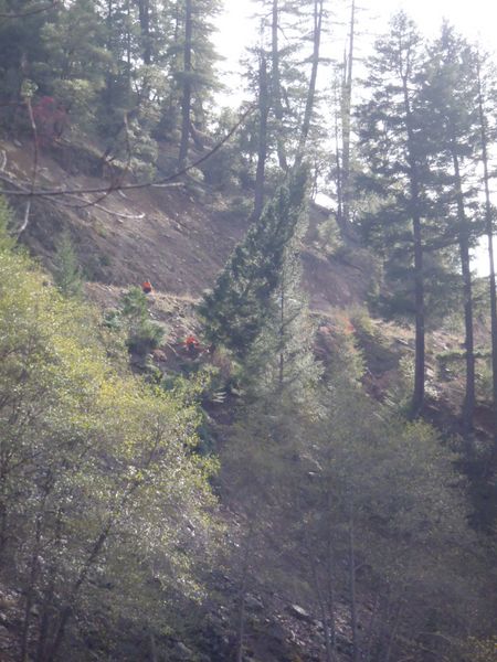 http://www.mtshasta.com