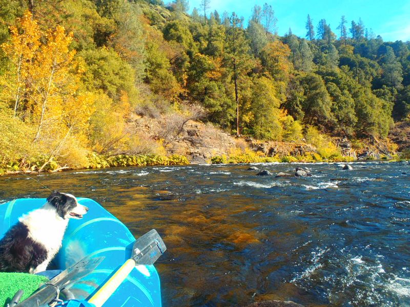 http://www.mtshasta.com