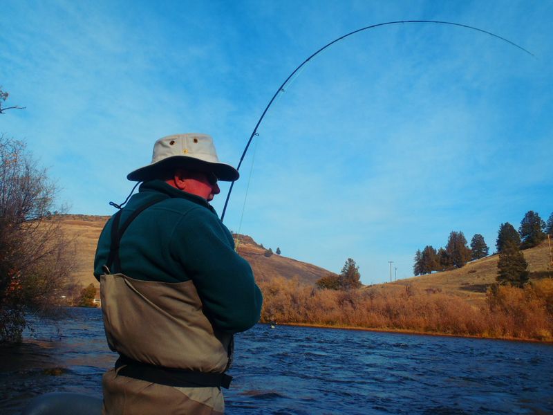 http://www.mtshasta.com