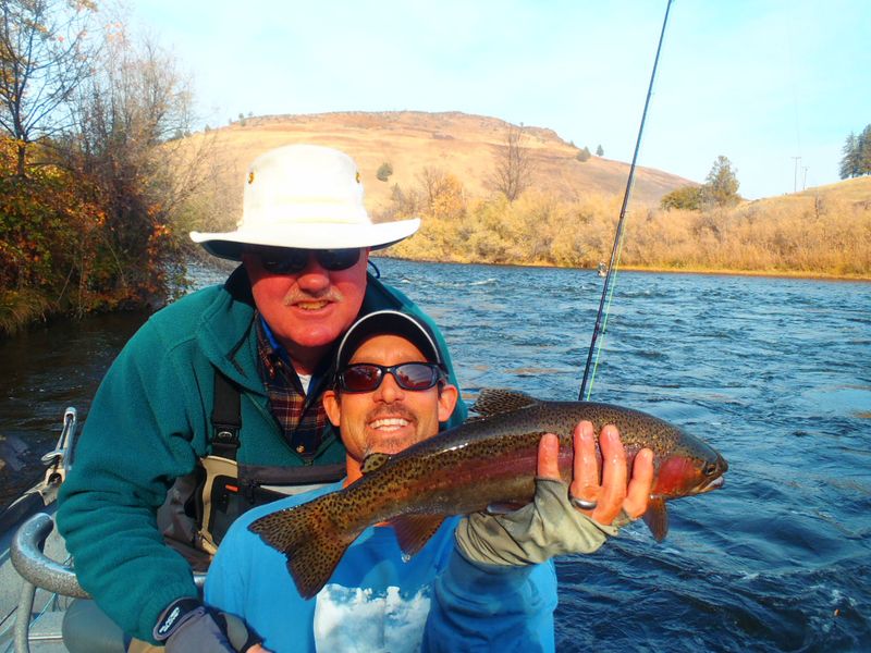 http://www.mtshasta.com