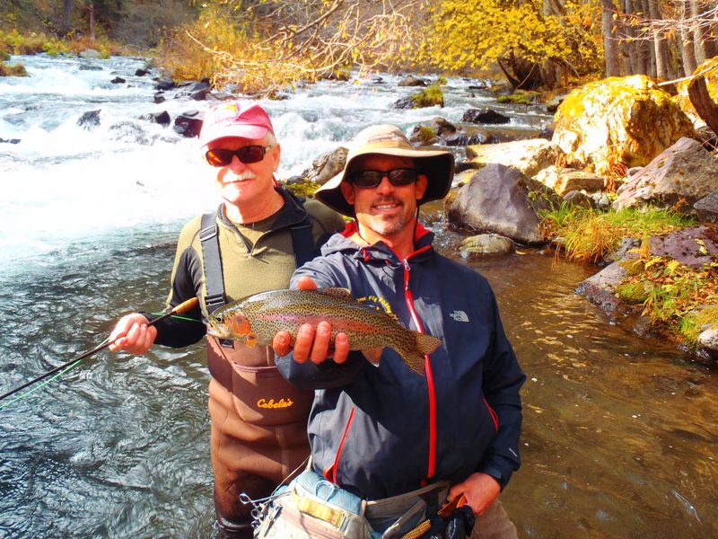 http://www.mtshasta.com
