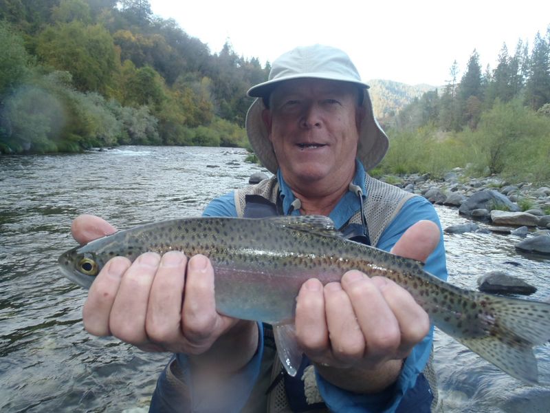 http://www.mtshasta.com