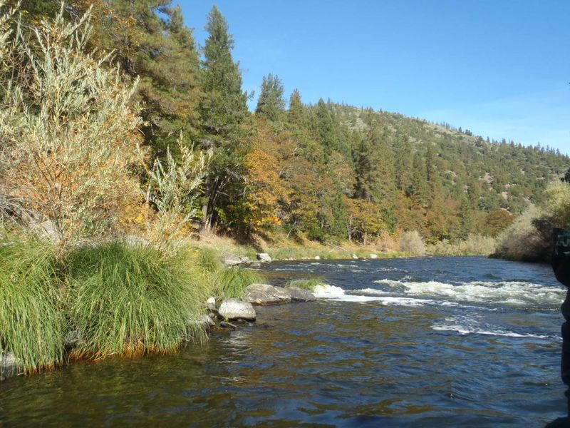http://www.mtshasta.com
