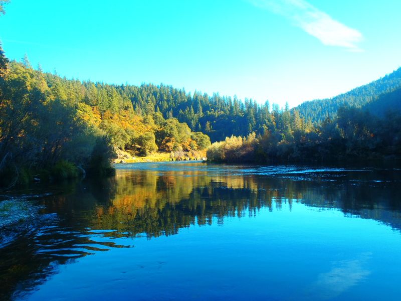 http://www.mtshasta.com