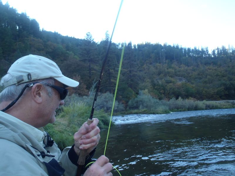 http://www.mtshasta.com