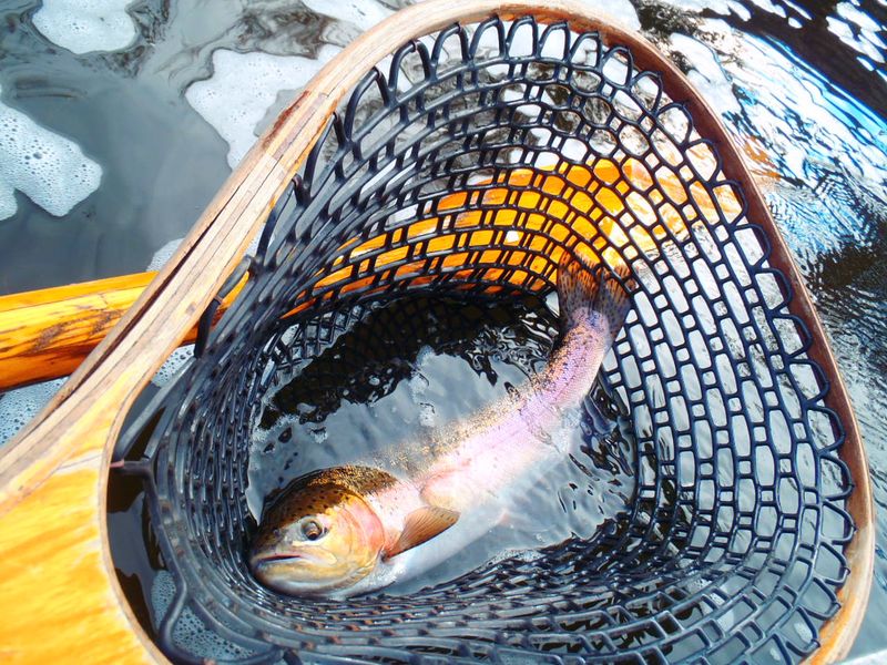 http://www.mtshasta.com