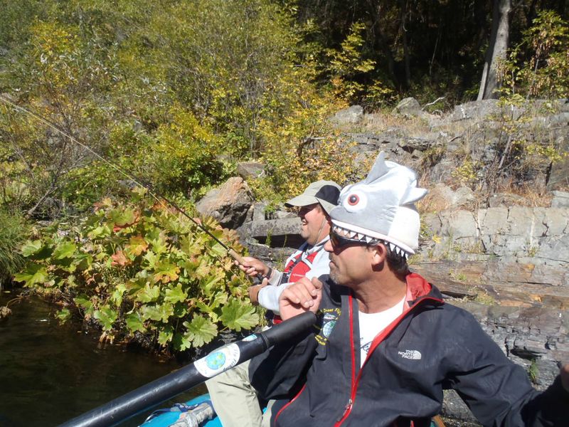http://www.mtshasta.com