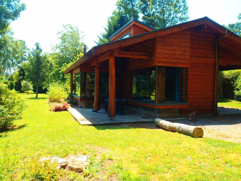 http://www.mtshasta.com