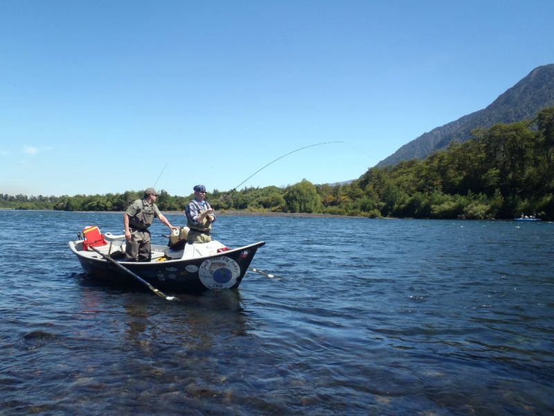http://www.mtshasta.com