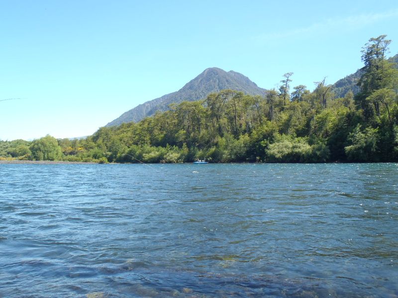 http://www.mtshasta.com