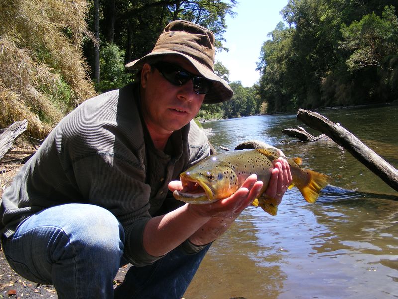 http://www.mtshasta.com