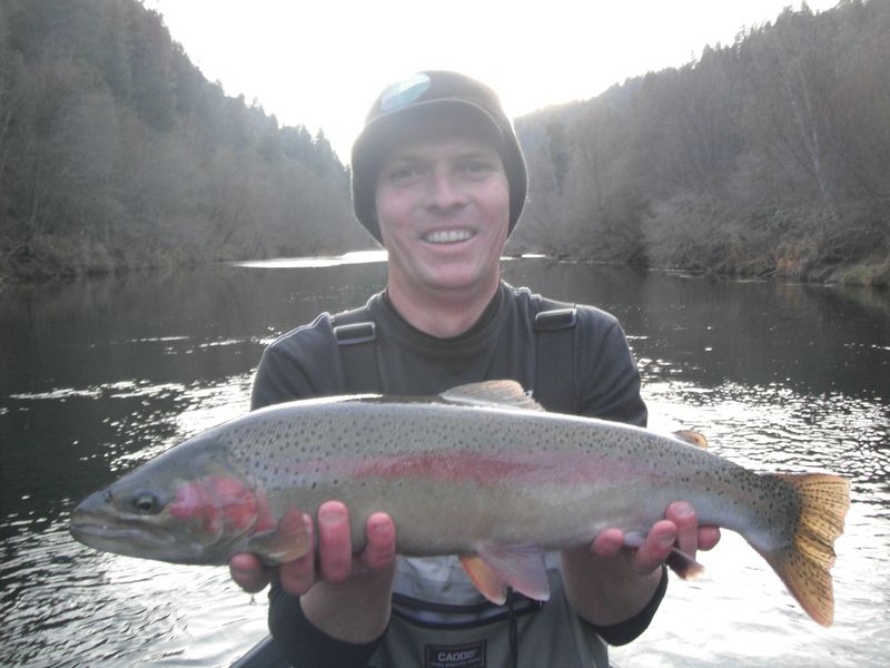http://www.mtshasta.com