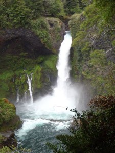 http://www.jacktrout.com/chile.html
