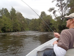 http://www.jacktrout.com/chile.html