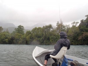 http://www.jacktrout.com/chile.html