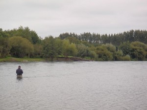 http://www.jacktrout.com/html