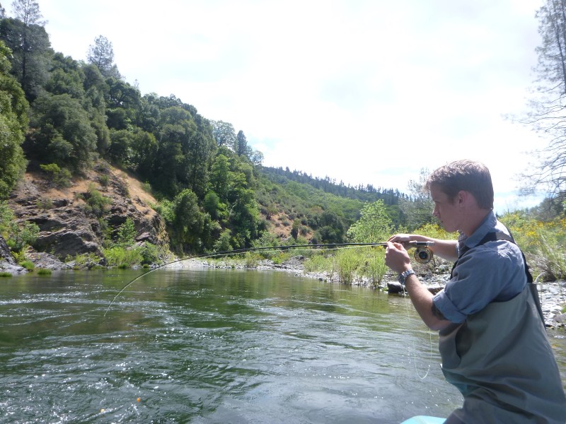 Jack Trout Fly Fishing Upper Sac