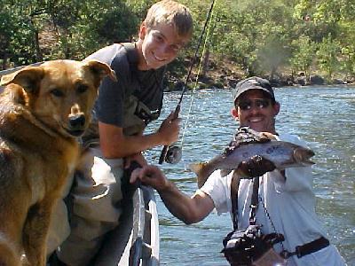 Shasta trout 2001