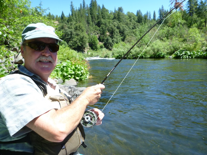 Klamath river steelhead jack trout