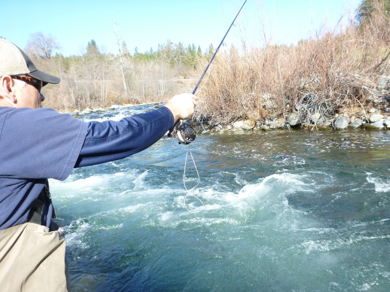 Klamath River Fly Fishing Jack Trout