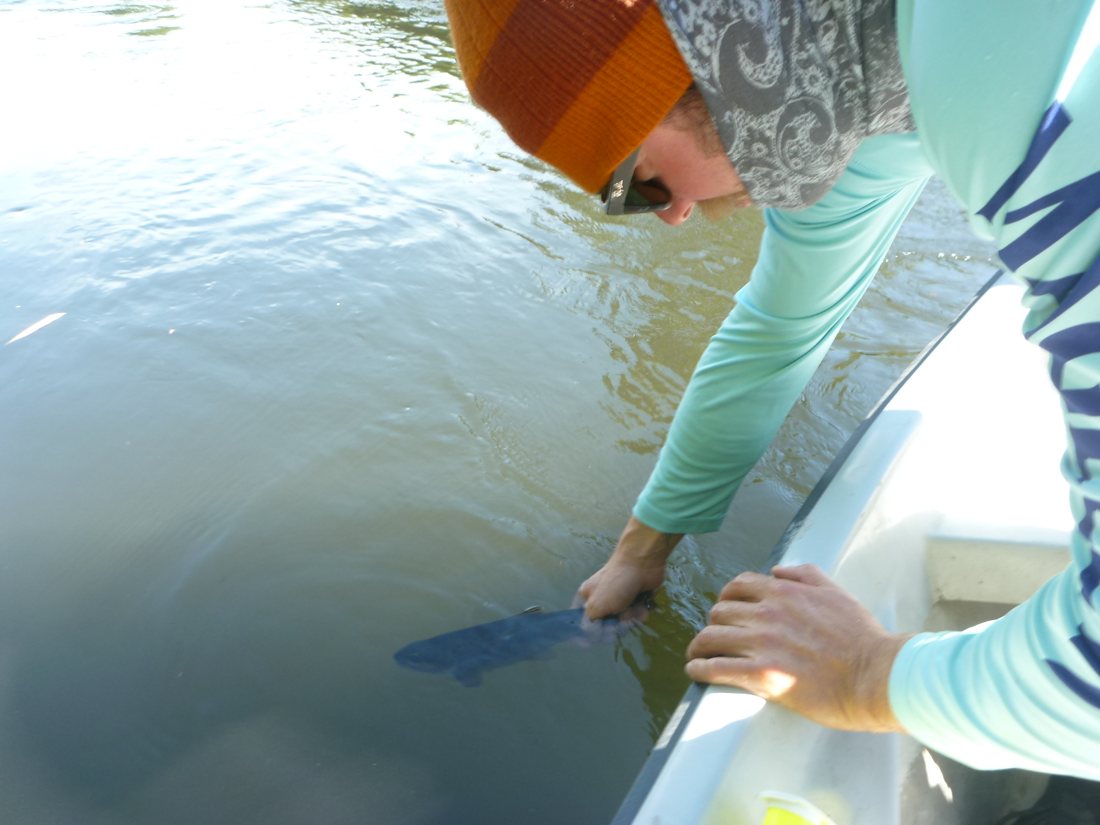 Jack Trout Puerto Montt Fishing