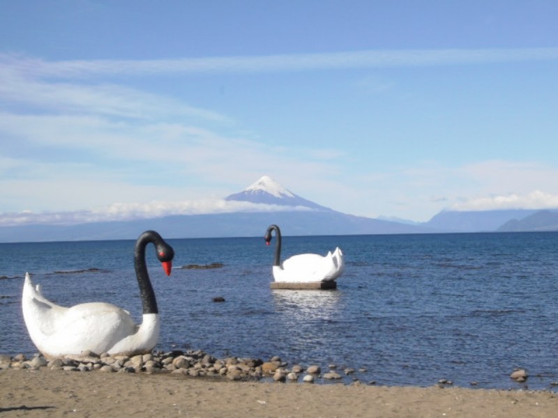 Llanquihue Chile 2014 Jack Trout