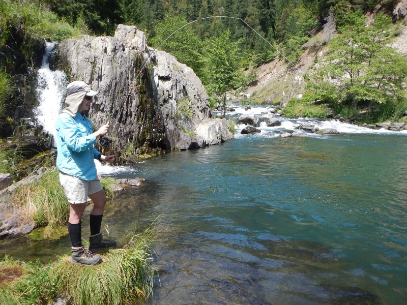 Jack trout fly guide