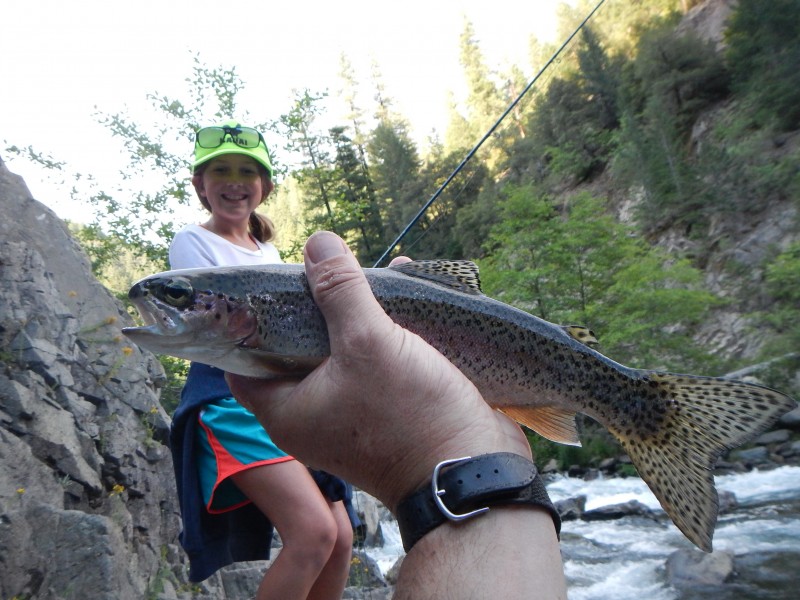 Mt shasta jack trout