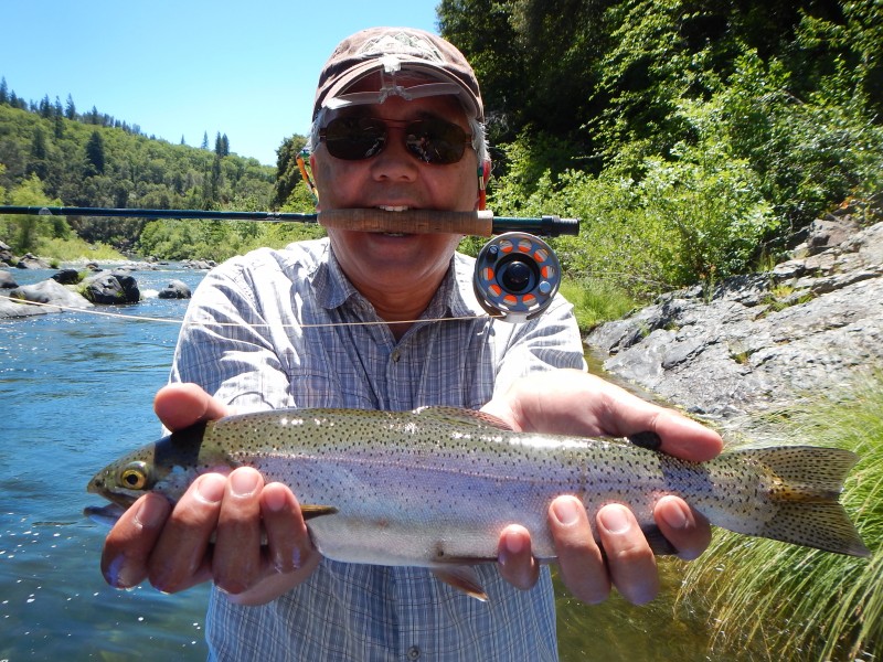 Jack Trout river bass california