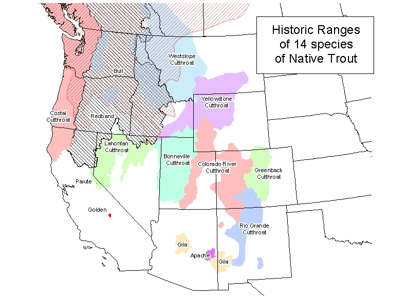 Trout Map historic bull trout red band trout
