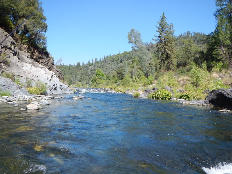 trout califonia