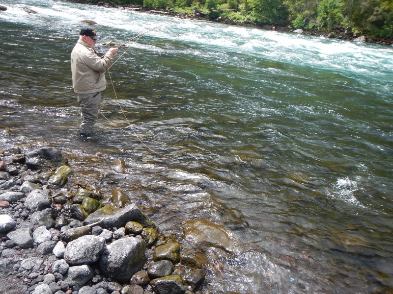 Cruise ship fishing puerto montt