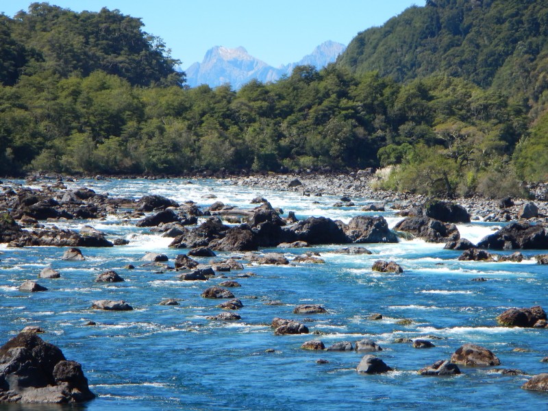 Jack trout Chile fishing