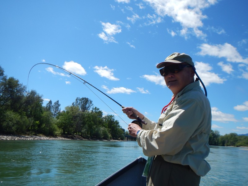 Lower Sacramento River Jack Trout Fly Fishing