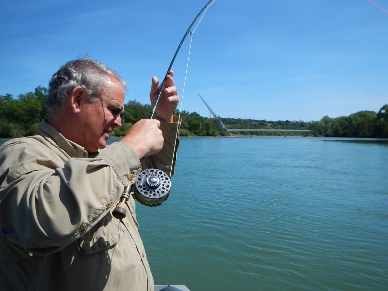 Lower Sac Jack Trout Fly Fishing