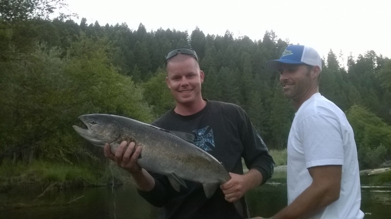 salmon july 2014 3