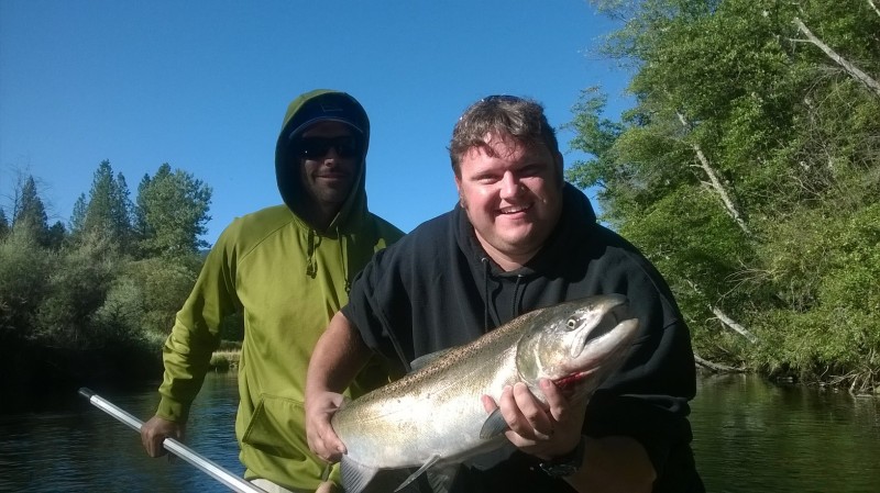 salmon july 2014