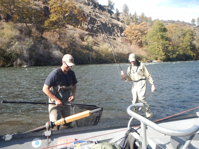 Middle Klamath River Steelhead Jack Trout