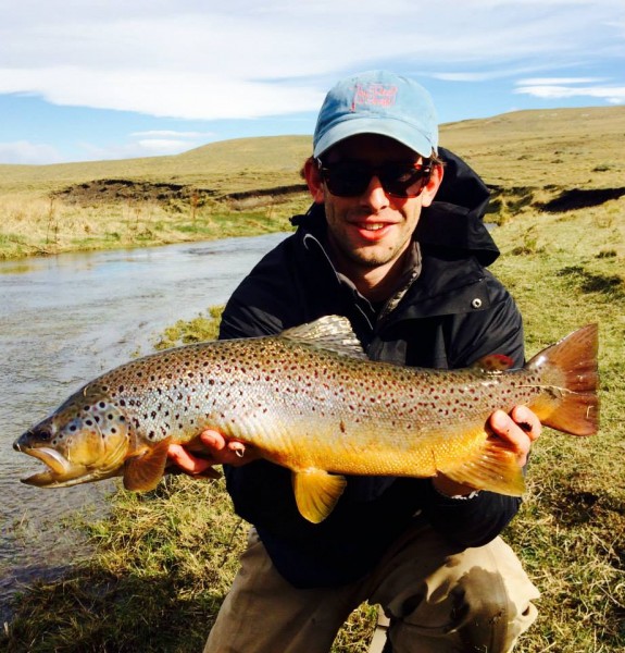 Brown trout Ben