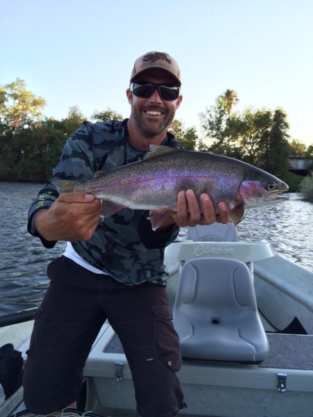 Lower Sacramento River Jack Trout Fly Fishing