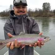 Lower Sac Trout Jack Trout FFI