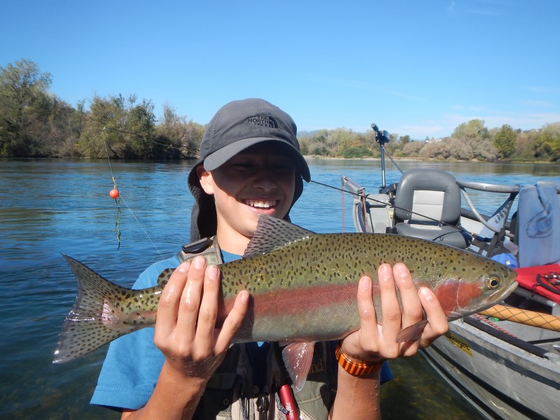 Lower Sacramento Jack Trout