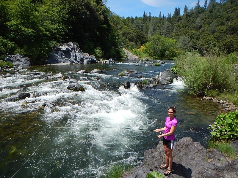 Upper Sacramento Fly Fishing Jack Trout