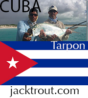 Cuba Banner Jack Trout FFI