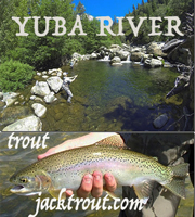 Yuba banner2