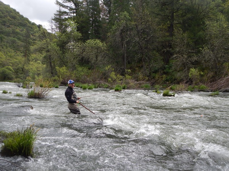 Jack Trout Guide Service Pit River