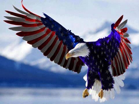 American Eagle 1